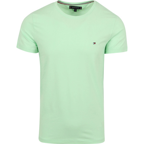 Vêtements Homme T-shirts & Polos Tommy Hilfiger T-Shirt Logo Vert Clair Vert