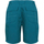 Vêtements Femme Shorts / Bermudas Regatta Chaska II Bleu