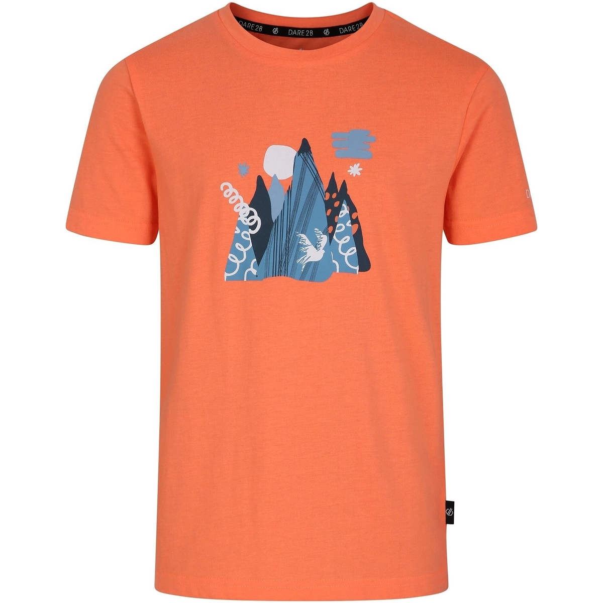 Vêtements Enfant T-shirts manches courtes Dare 2b Trailblazer II Orange
