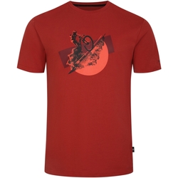 amiri core logo cotton t shirt item