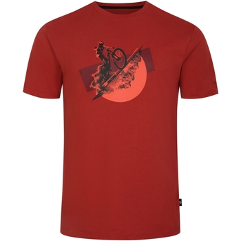 Vêtements Homme T-shirts manches longues Dare 2b RG9764 Rouge