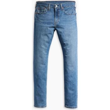 Vêtements Homme Jeans Levi's 29507 1439 - 502 TAPER-FROZEN IN TIME ADV Bleu