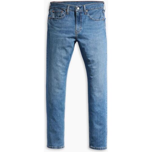 Vêtements Homme Jeans Levi's 29507 1439 - 502 TAPER-FROZEN IN TIME ADV Bleu