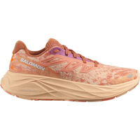 Chaussures Femme Running / trail Salomon AERO GLIDE 2 W Multicolore