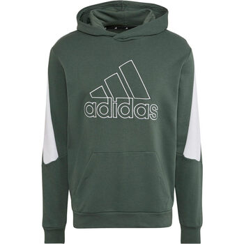 Vêtements Homme Sweats adidas Originals M FI BOS Hoodie Vert