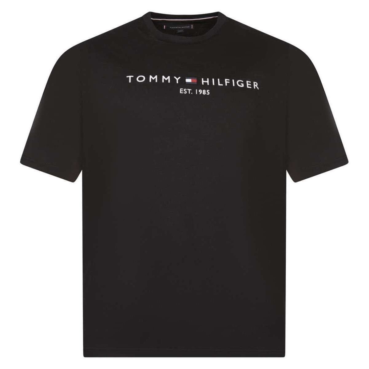 Vêtements Homme T-shirts manches courtes Tommy Hilfiger 162912VTPE24 Noir