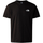 Vêtements Homme T-shirts manches courtes The North Face NF0A880S Noir