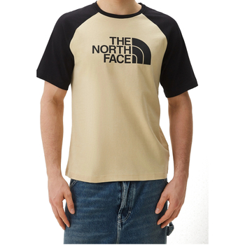 Vêtements Homme T-shirts manches courtes The North Face NF0A87N7 Gris