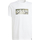 Vêtements Garçon T-shirts manches courtes adidas Originals IW1372 Blanc