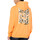 Vêtements Homme Sweats Dickies DK0A4Y6ME821 Orange