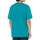 Vêtements Homme T-shirts & Polos Dickies DK0A4Y8OE641 Bleu