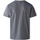 Vêtements Homme T-shirts & Polos The North Face Fine T-Shirt - Smoked Pearl Gris