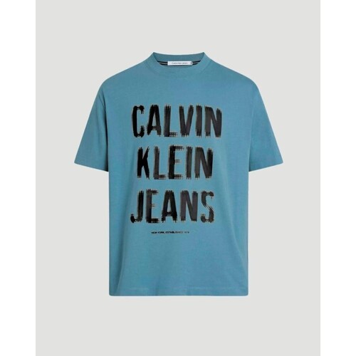 Vêtements Homme T-shirts manches courtes Calvin Klein Jeans J30J324648 Bleu