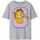 Vêtements Homme T-shirts manches longues Garfield Collegiate Gris