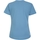 Vêtements Femme T-shirts manches longues Dare 2b Tranquility II Bleu