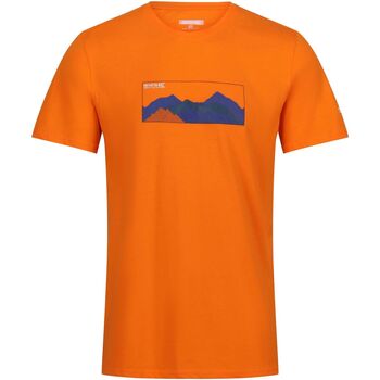 Vêtements Homme T-shirts manches longues Regatta Breezed IV Multicolore
