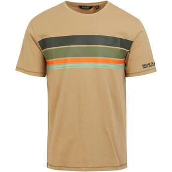 Vêtements Homme T-shirts manches longues Regatta Rayonner Multicolore