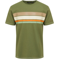 Vêtements Marcelo T-shirts manches longues Regatta  Vert