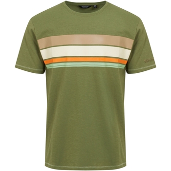 Vêtements Homme T-shirts manches longues Regatta  Vert