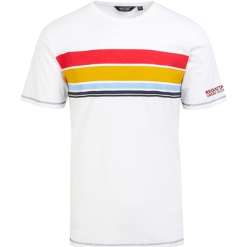 Vêtements Homme T-shirts manches longues Regatta RG9942 Blanc
