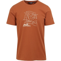 Vêtements Homme T-shirts manches longues Regatta RG9976 Multicolore