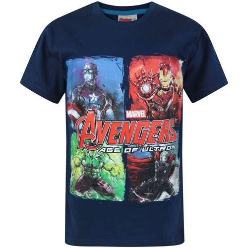 Vêtements Enfant T-shirts manches courtes Avengers NS7687 Bleu