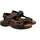 Chaussures Homme Sandales et Nu-pieds Rohde Cortina Marron