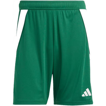 Vêtements Homme Shorts / Bermudas adidas Originals IS1410 Vert
