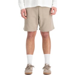 Vêtements Homme Shorts / Bermudas Alpha 146363 Autres