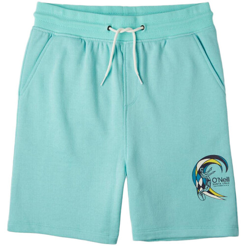 Vêtements Garçon Shorts / Bermudas O'neill 4700003-16014 Bleu