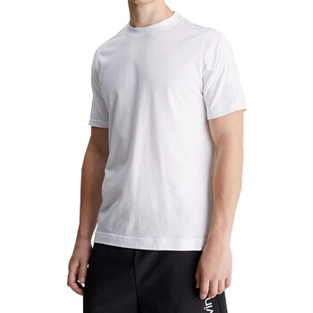 Vêtements Homme T-shirts manches courtes Calvin Klein Jeans 00GMS4K187 Blanc