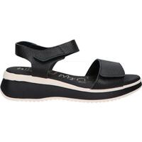 Chaussures Femme Sandales et Nu-pieds Oh My Sandals 5411 DO2 5411 DO2 