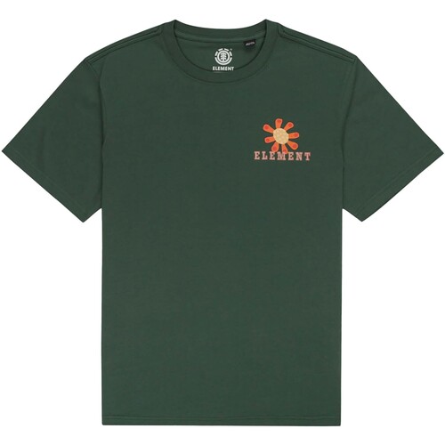 Vêtements Homme T-shirts & Polos Element In Bloom Ss Vert