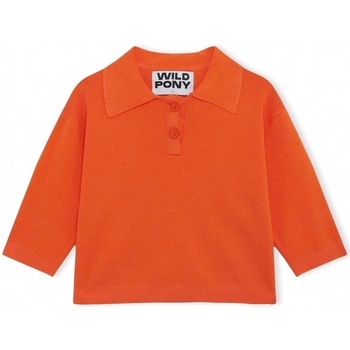 pull wild pony  knit 10604 - orange 