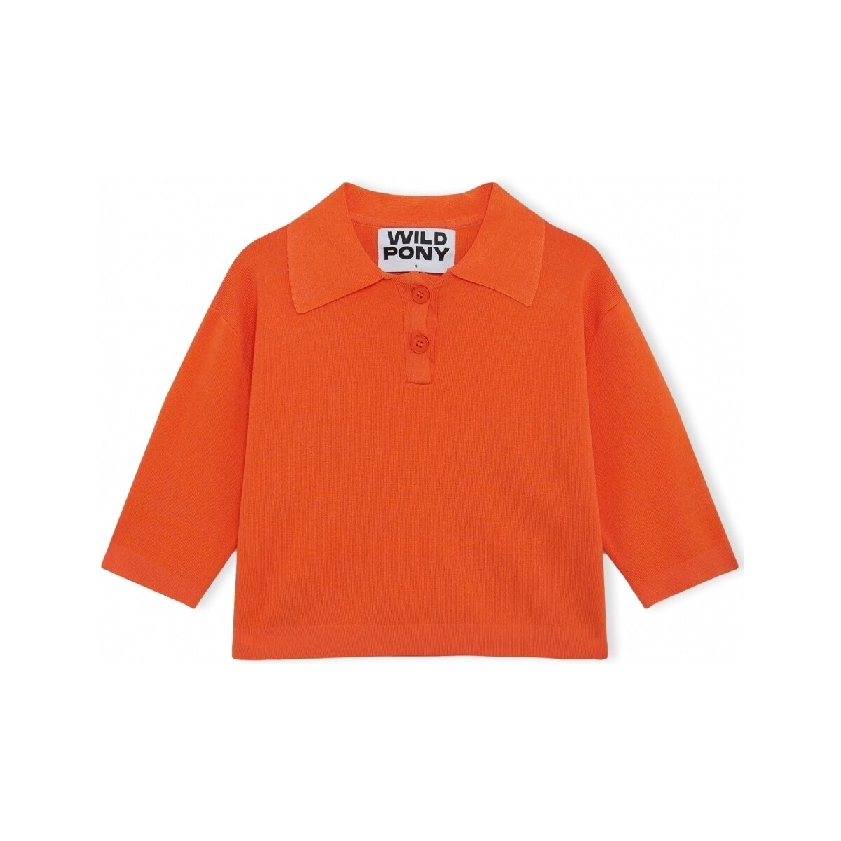 Vêtements Femme Pulls Wild Pony Knit 10604 - Orange Orange
