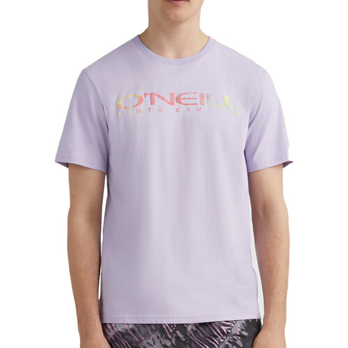 Vêtements Homme T-shirts chest manches courtes O'neill 2850108-14513 Violet
