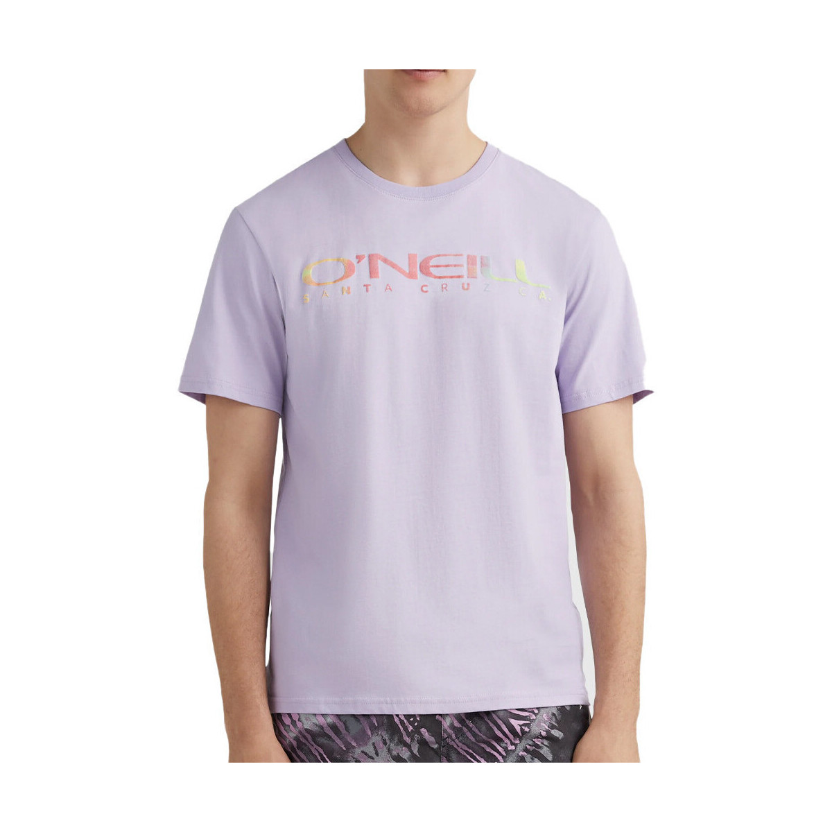 Vêtements Homme T-shirts & Polos O'neill 2850108-14513 Violet
