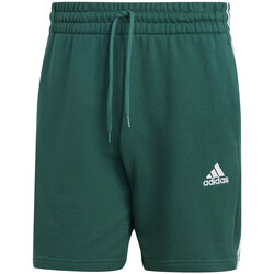 Vêtements Homme Shorts / Bermudas adidas Originals IS1342 Vert