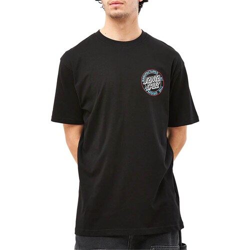 Vêtements Homme T-shirts manches courtes Santa Cruz SCA-TEE-10737 Noir