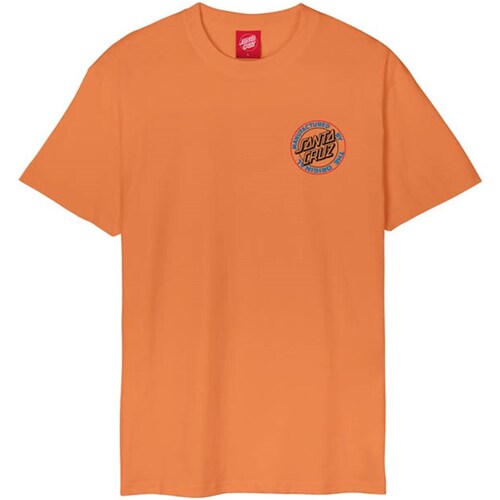 Vêtements Homme T-shirt New Balance Essentials Small Pack cinzento Santa Cruz SCA-TEE-10725 Autres