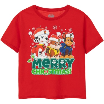 Vêtements Garçon T-shirts manches courtes Paw Patrol Merry Christmas Rouge