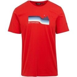 Vêtements Homme T-shirts manches longues Regatta RG10065 Rouge