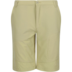 Vêtements Homme Shorts / Bermudas Regatta Highton Beige