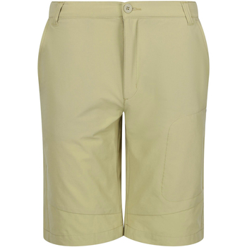 Vêtements Homme Shorts / Bermudas Regatta RG6827 Beige