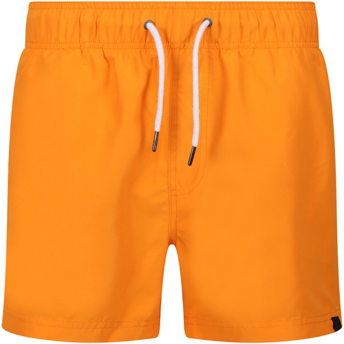 Vêtements Homme Shorts / Bermudas Regatta Mawson II Orange