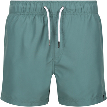 Vêtements Homme Shorts / Bermudas Regatta Mawson II Multicolore