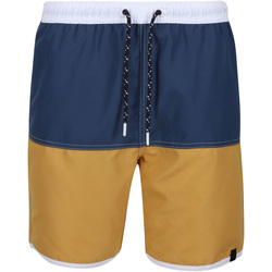 Vêtements Homme Shorts / Bermudas Regatta Benicio Multicolore
