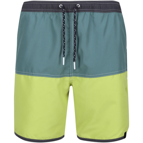 Vêtements Homme Shorts / Bermudas Regatta Benicio Vert