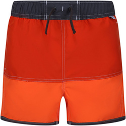 Vêtements Enfant Maillots / Shorts de bain Regatta Sergio Orange