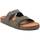 Chaussures Homme Sandales et Nu-pieds Xti 14227401 Vert